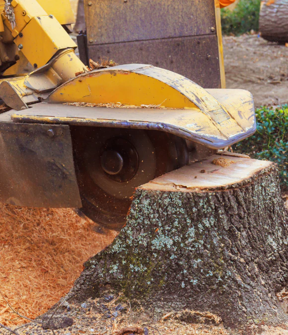Stump Grinding