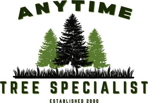 anytime tree specialist@2x
